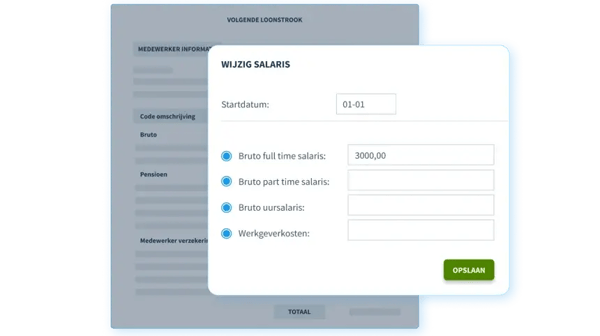 pro forma loonstrook interactieve loonstrook